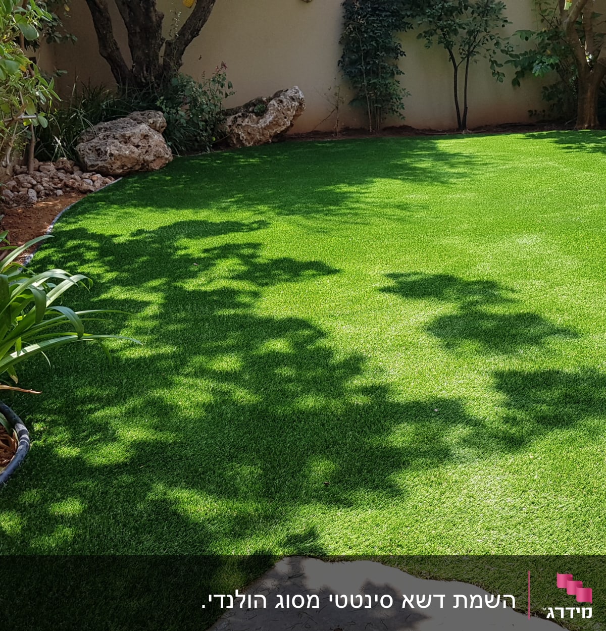 דשא ירוק עם צמחים מסביב בגינה מטופחת